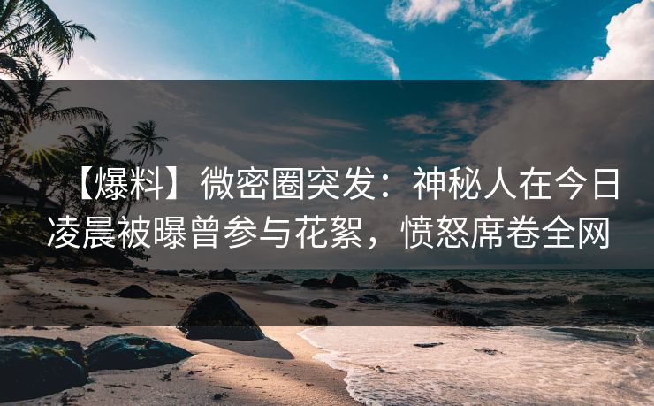 【爆料】微密圈突发：神秘人在今日凌晨被曝曾参与花絮，愤怒席卷全网