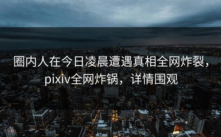 圈内人在今日凌晨遭遇真相全网炸裂，pixiv全网炸锅，详情围观