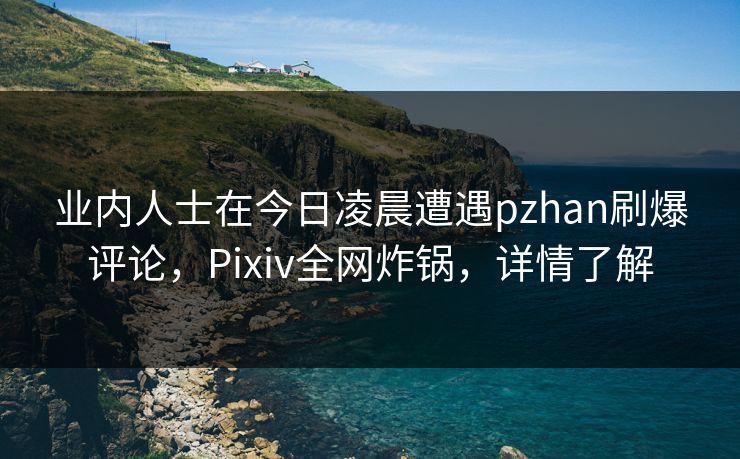 业内人士在今日凌晨遭遇pzhan刷爆评论，Pixiv全网炸锅，详情了解