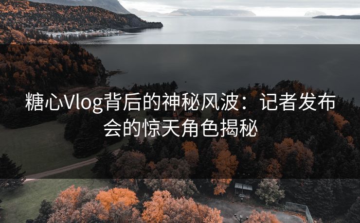 糖心Vlog背后的神秘风波：记者发布会的惊天角色揭秘