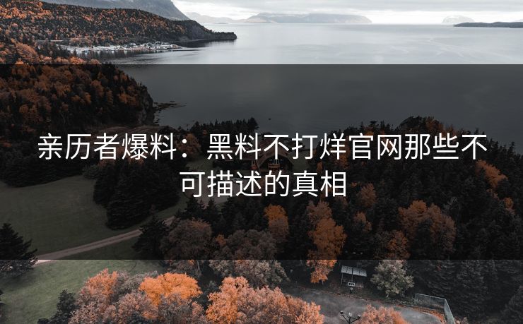 亲历者爆料：黑料不打烊官网那些不可描述的真相