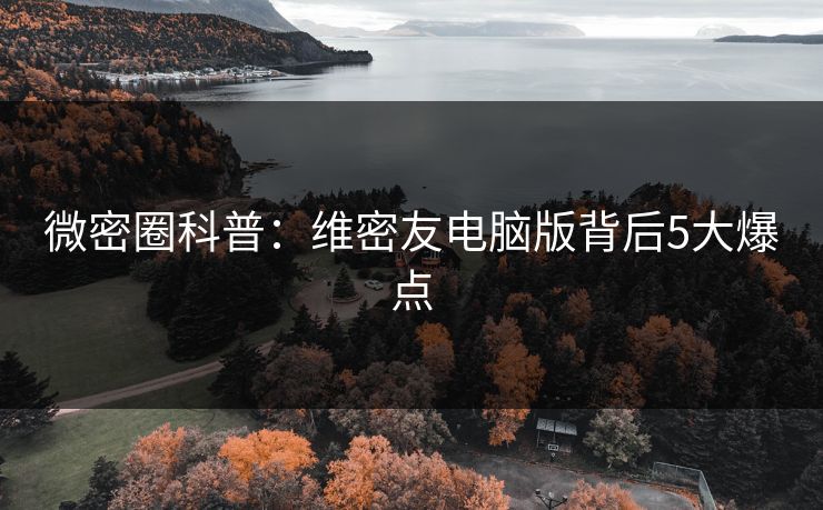 微密圈科普：维密友电脑版背后5大爆点