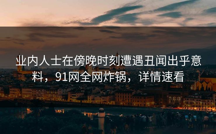 业内人士在傍晚时刻遭遇丑闻出乎意料，91网全网炸锅，详情速看