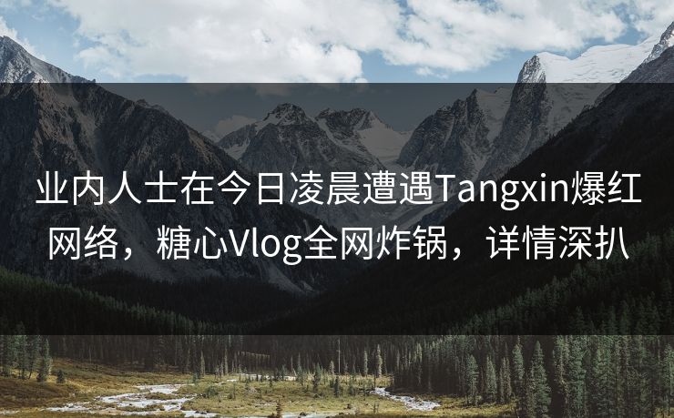 业内人士在今日凌晨遭遇Tangxin爆红网络，糖心Vlog全网炸锅，详情深扒