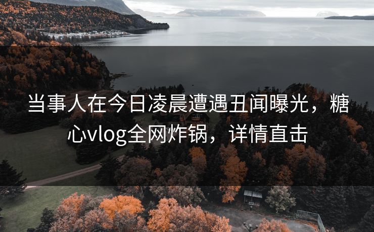 当事人在今日凌晨遭遇丑闻曝光，糖心vlog全网炸锅，详情直击