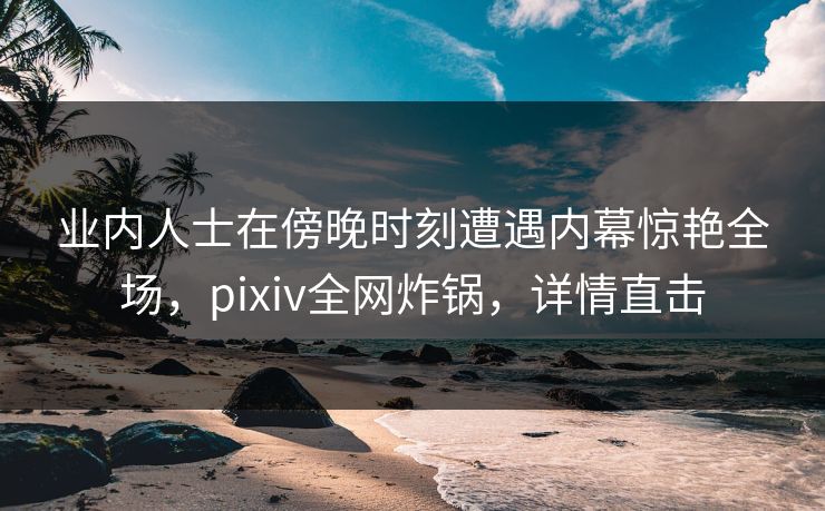 业内人士在傍晚时刻遭遇内幕惊艳全场，pixiv全网炸锅，详情直击