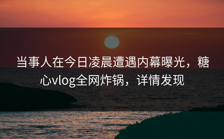 当事人在今日凌晨遭遇内幕曝光，糖心vlog全网炸锅，详情发现