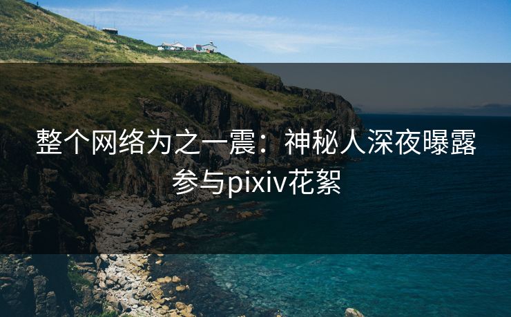 整个网络为之一震：神秘人深夜曝露参与pixiv花絮